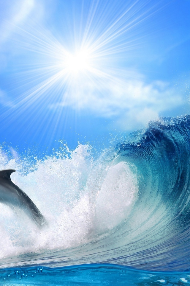 Дельфин перед волной