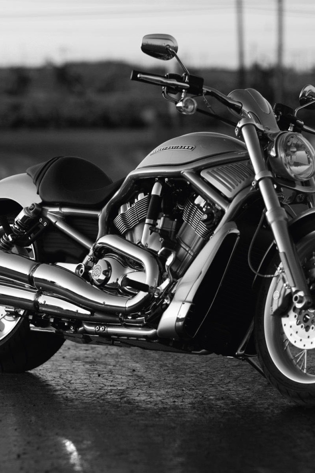 Harley Davidson  V-Rod