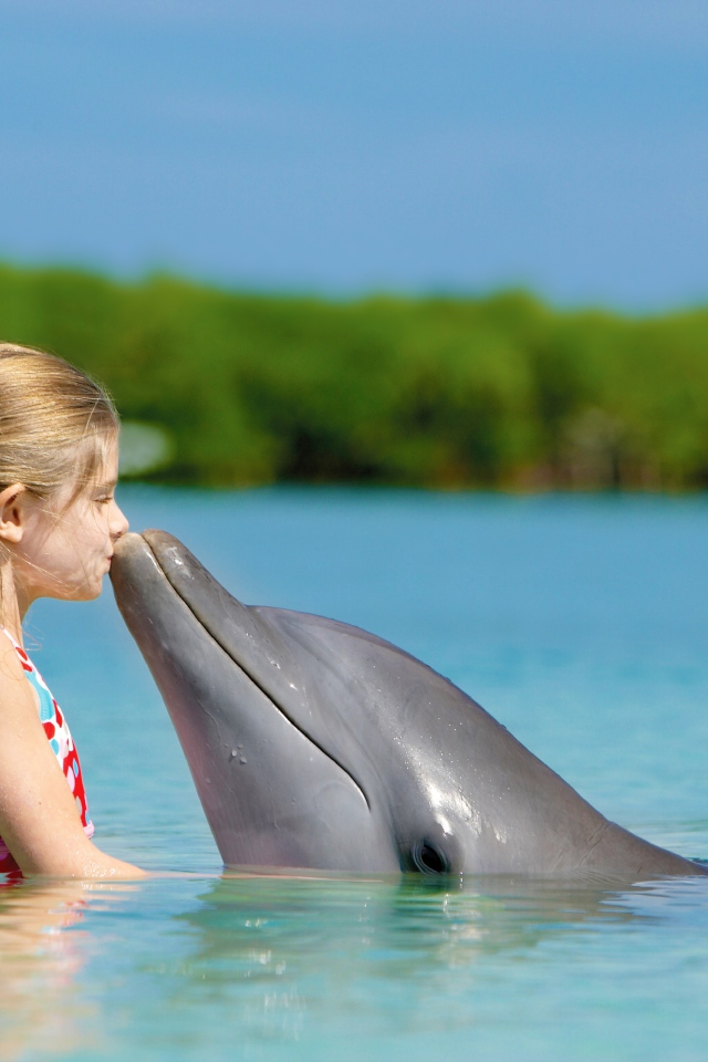 Девочка и дельфин