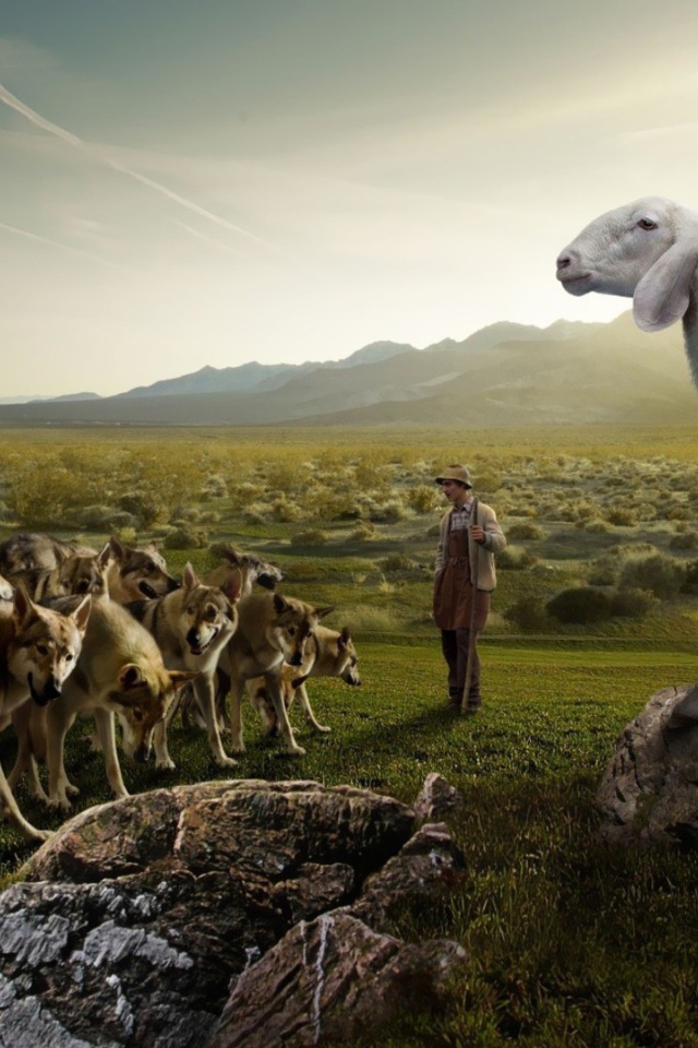 Волчий пастух