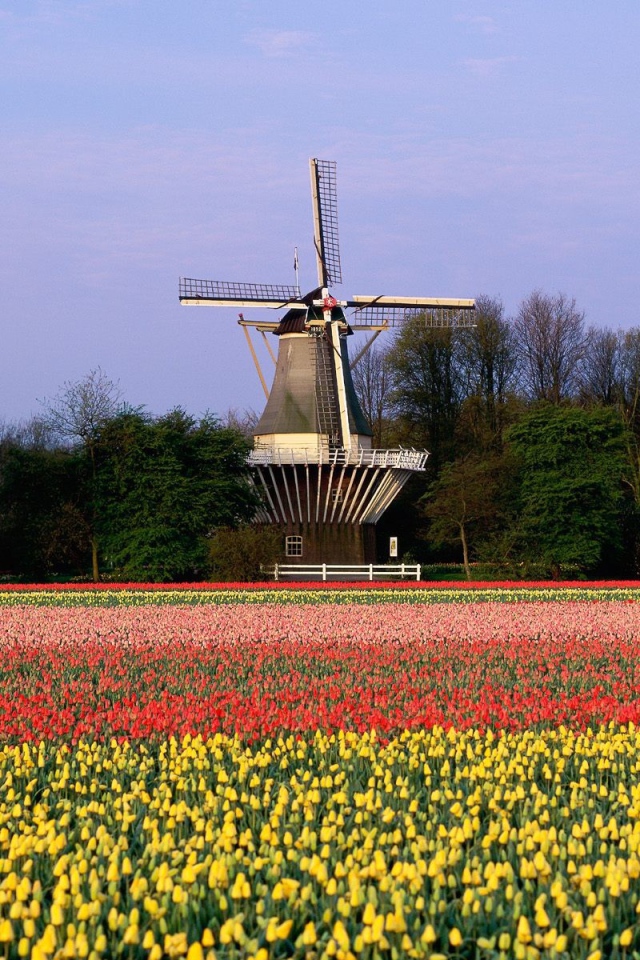 Нидерландский пейзаж