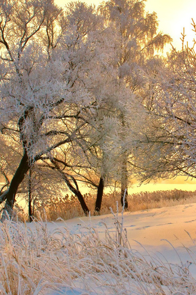 Зимний закат в Румынии