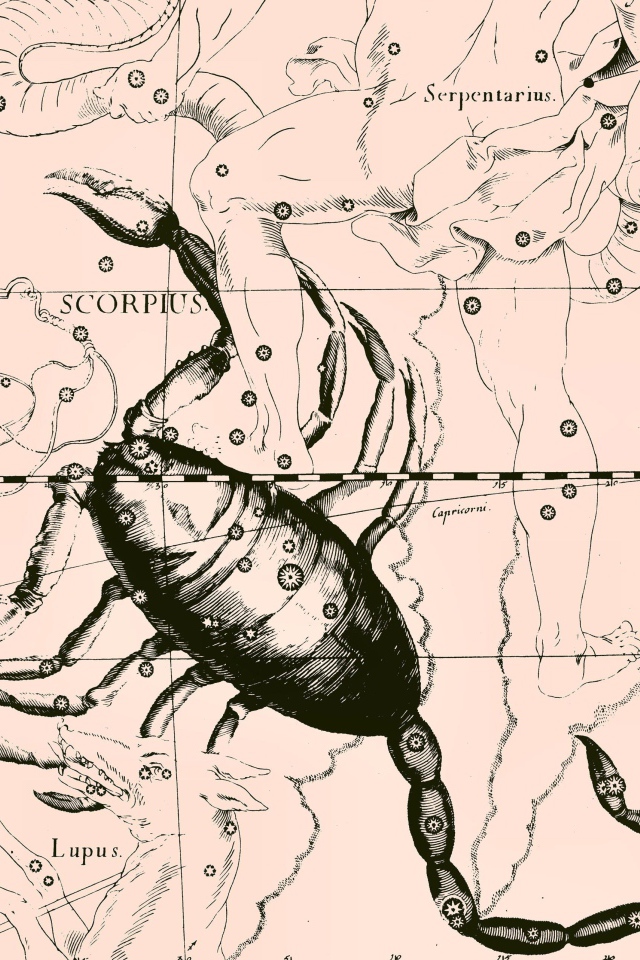 Карта звездного неба, скорпион, розовый цвет