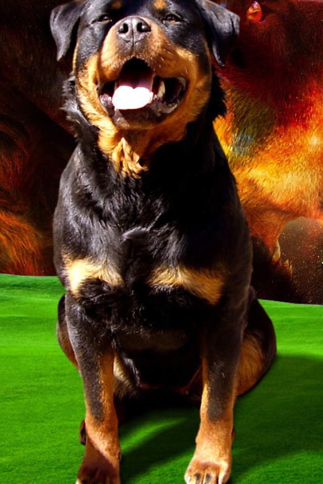 Космический пес ротвейлер