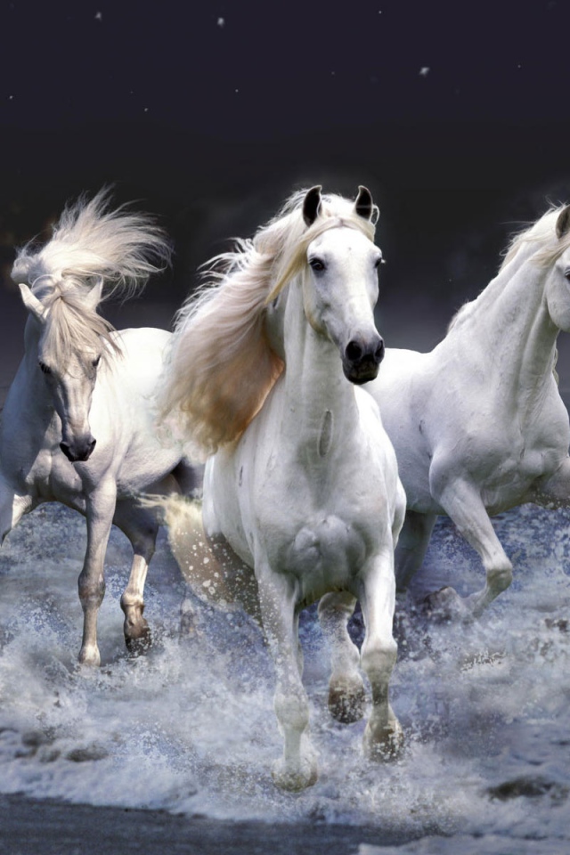 Мистические лошади 