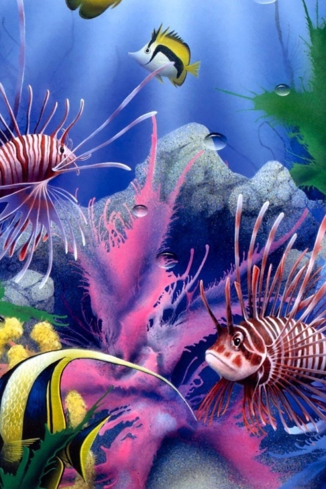 Красота подводной жизни