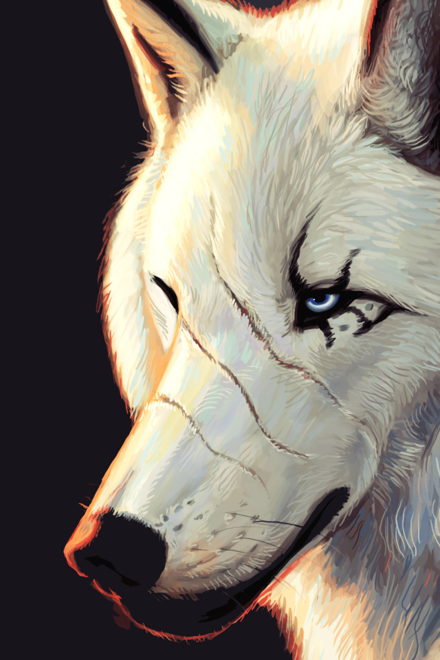 Белый волк со шрамами