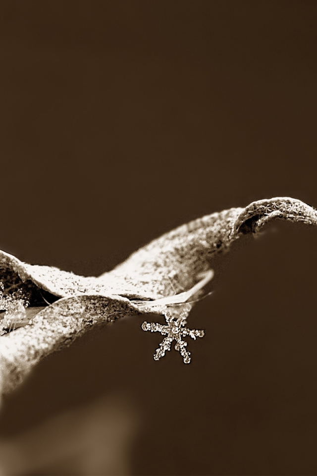 Снежинка на сухом листке