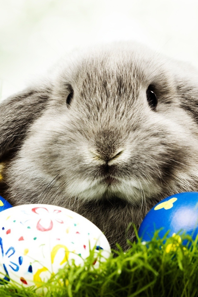 Кролик и пасхальные яйца