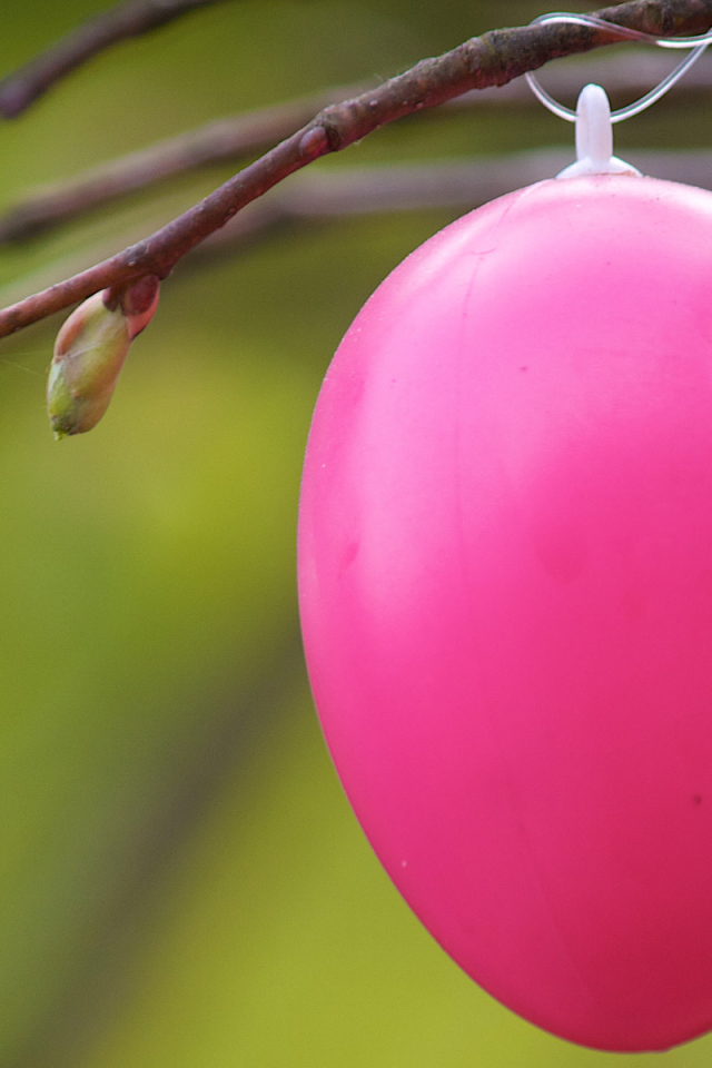 Розовое яйцо на ветке на Пасху