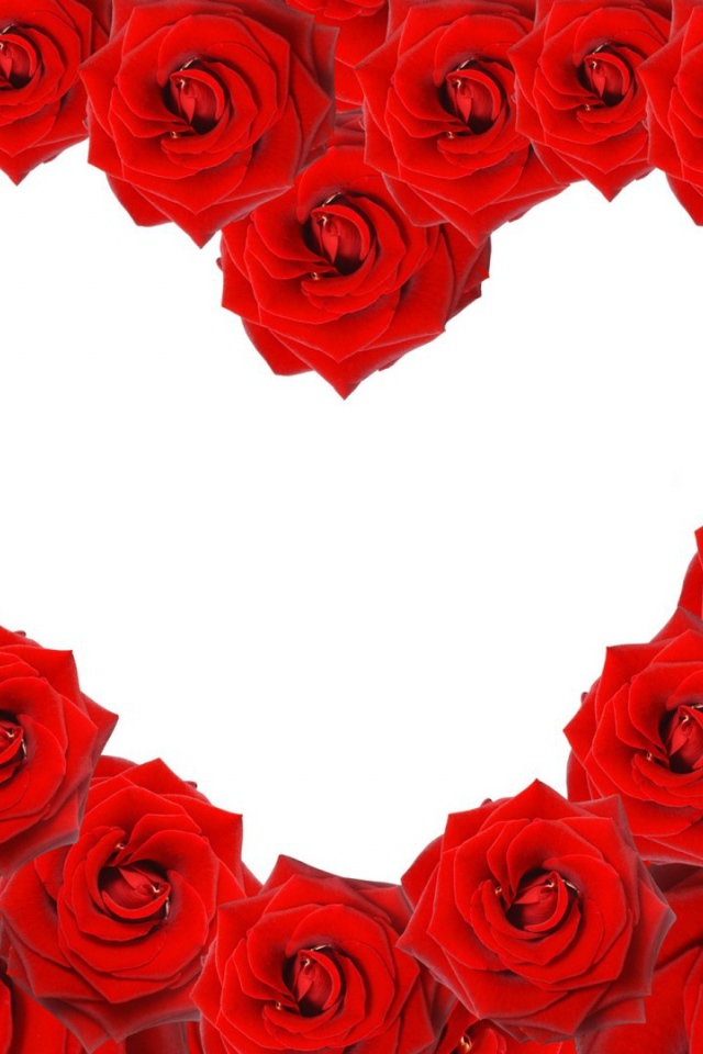 Красные розы в форме сердца на белом фоне