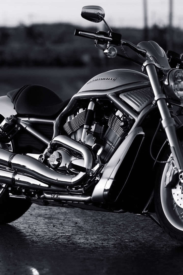 Новый надежный мотоцикл Harley-Davidson V-Rod Muscle
