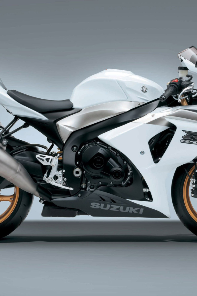 Popular motorcycle Suzuki GSX-R 1000 