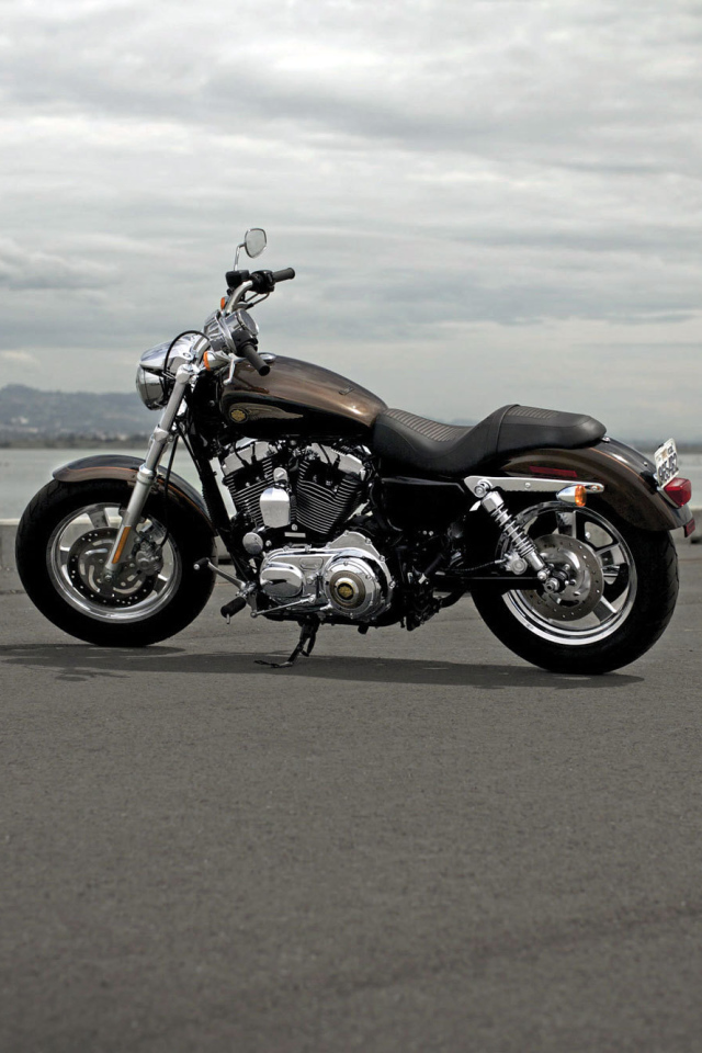 Тест-драйв мотоцикла Harley-Davidson XL 1200C Sportster Custom