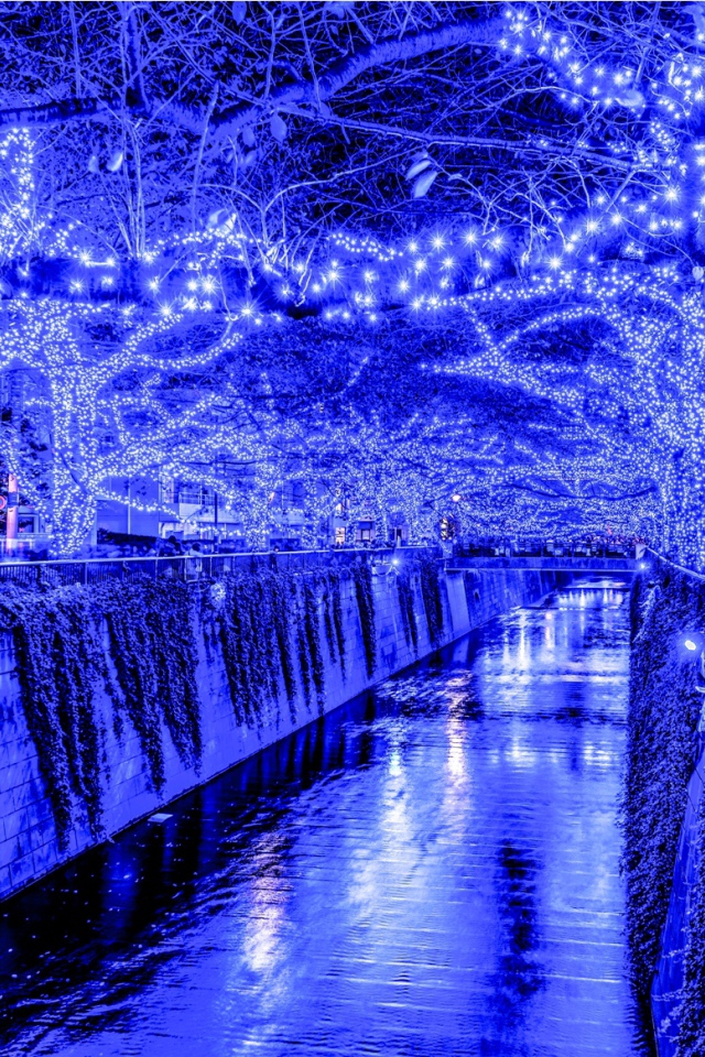 Новогодняя иллюминация в Токио