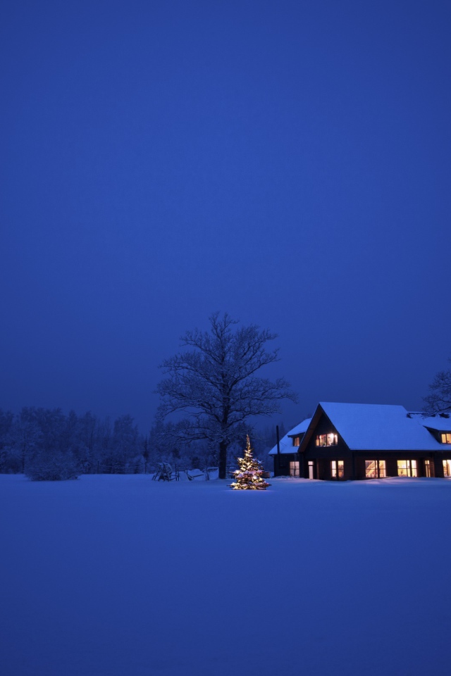 Синева зимней ночи