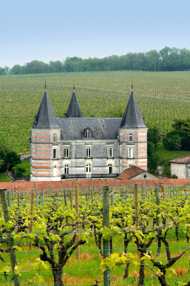 Замок в провинции Шампань, Франция