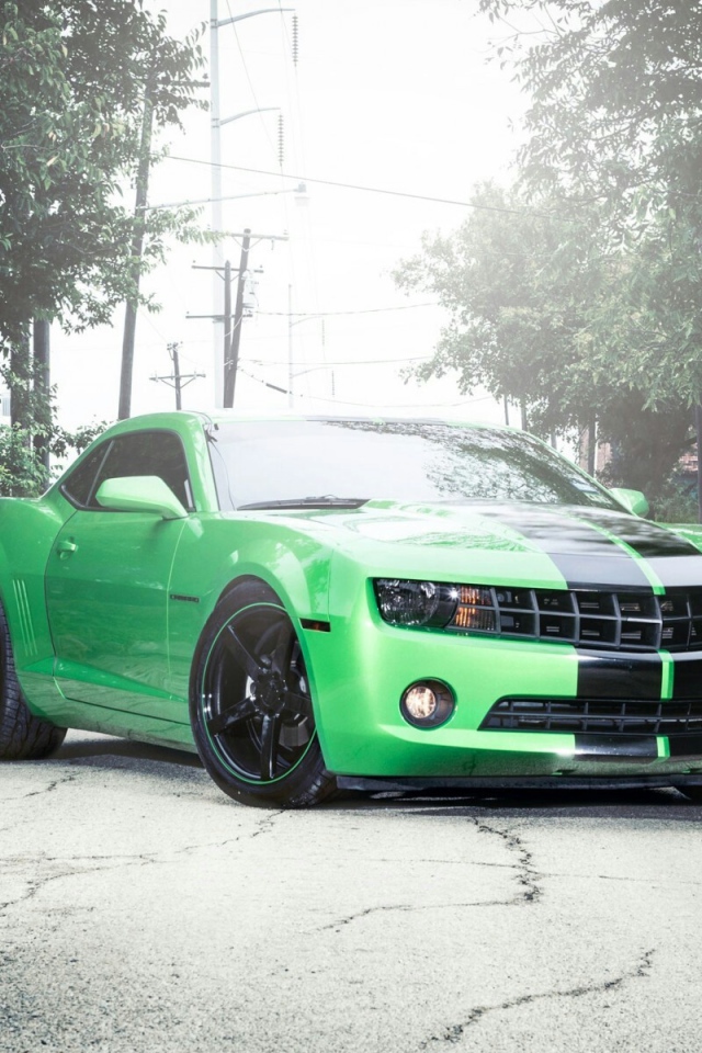 Зеленый Chevrolet Camaro на сером асфальте
