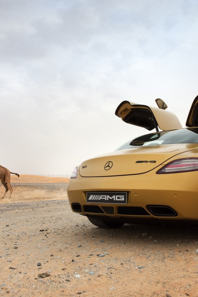 Mercedes-Benz SLS AMG в пустыне