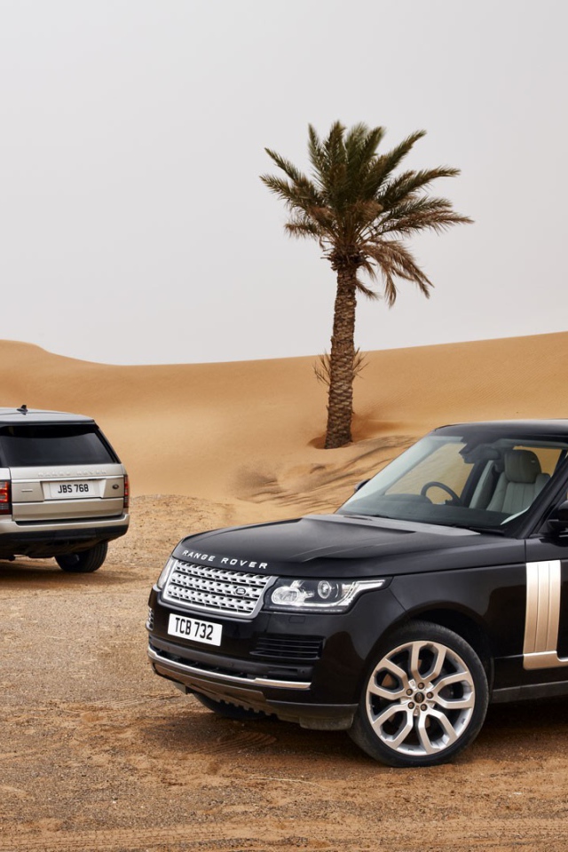 Черный Range Rover в пустыне