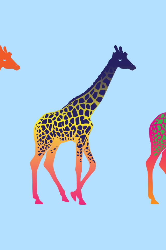Красочные жирафы, голубой фон