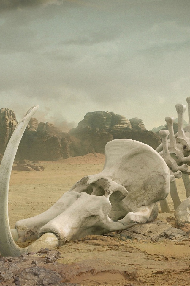 Скелет мамонта лежит в пустыне