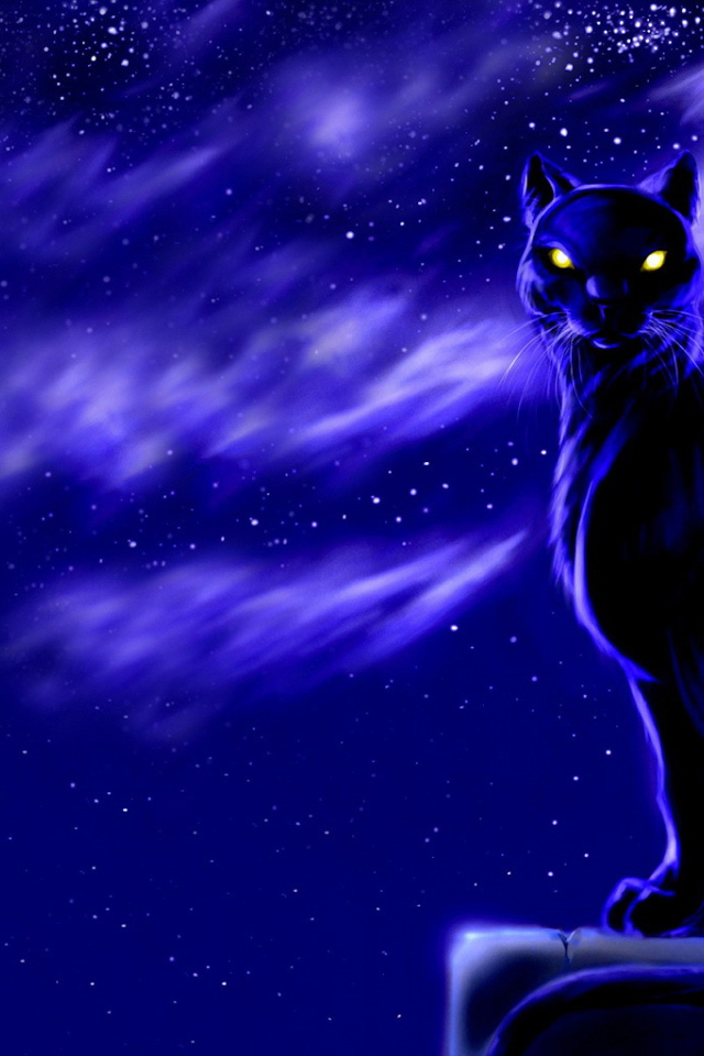 Черный кот лунной ночью