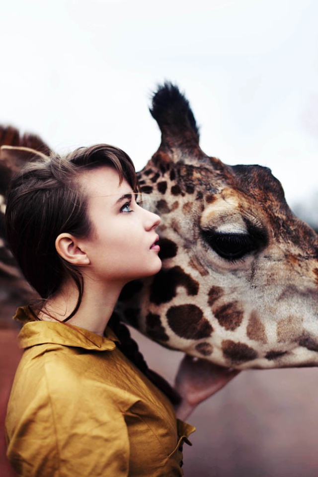 Девушка держит жирафа за голову