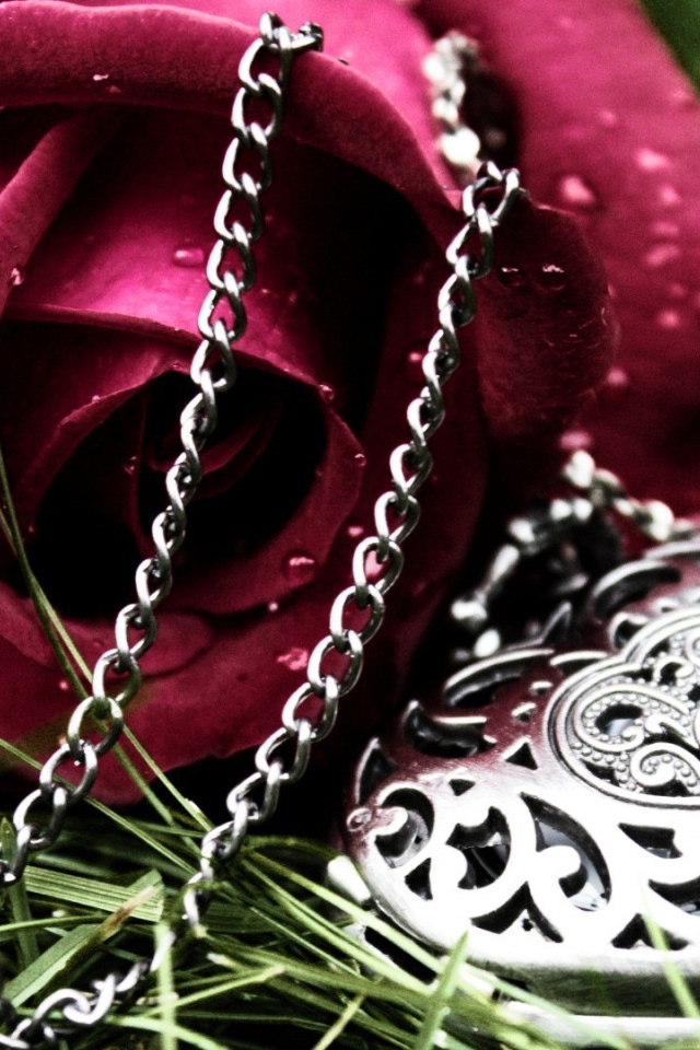 Роза и кулон в форме сердца