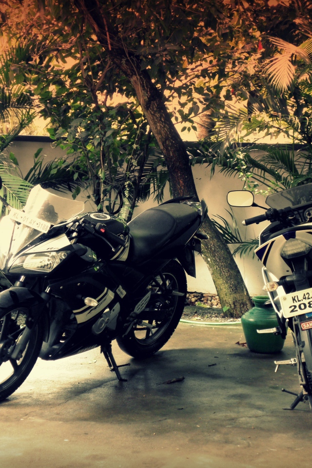 Два мотоцикла во дворе