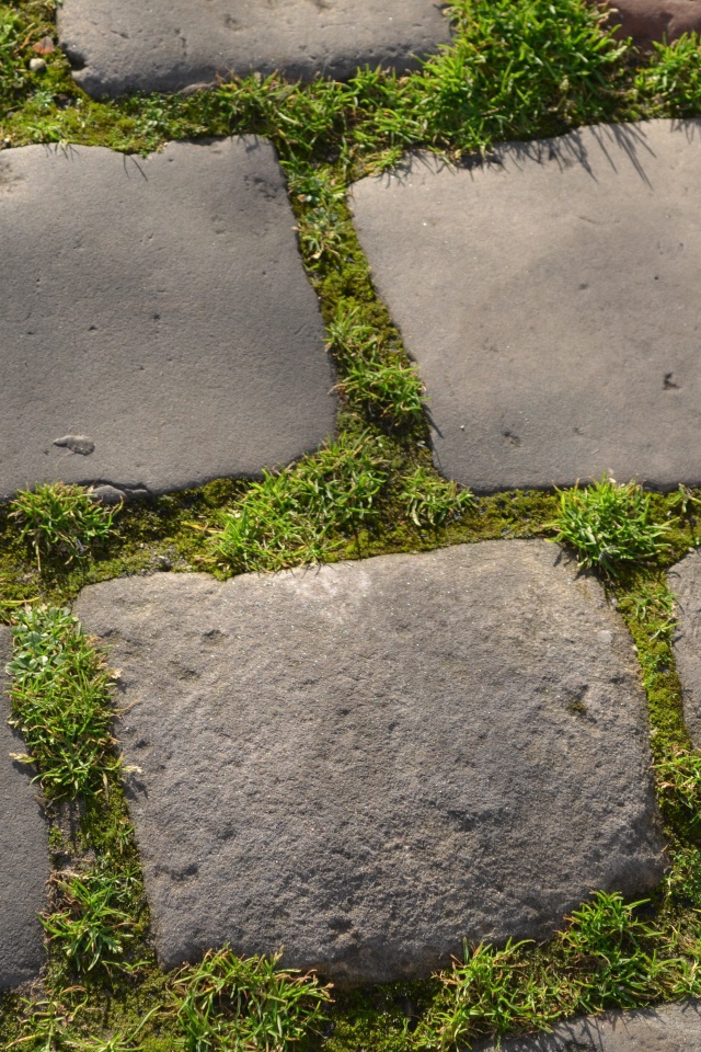 Зеленая трава между блоков брусчатки