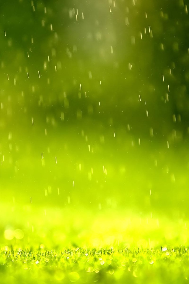 Дождь в зеленой дымке