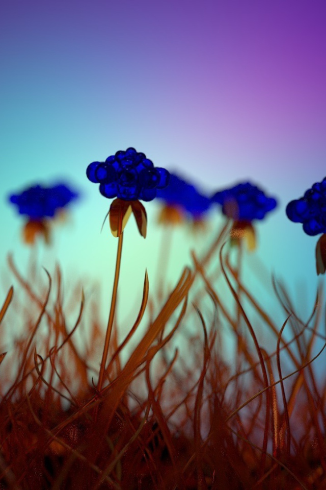 Засохшие голубые цветы