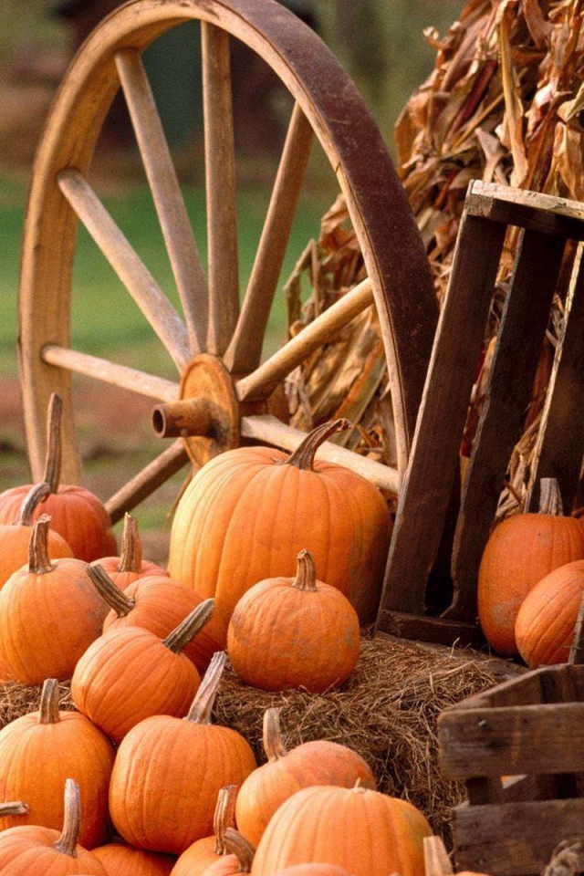 Осенний урожай тыкв у деревянного колеса