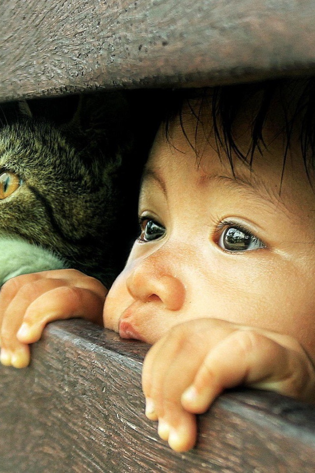 Любознательные кот и малыш