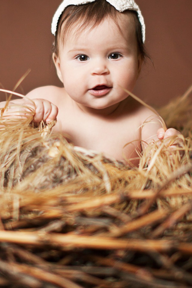 Малыш в гнезде из сена