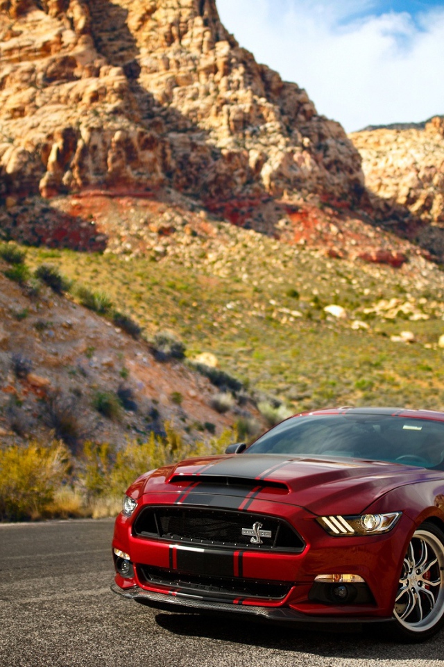 Красный спортивный автомобиль Ford Mustang Shelby 