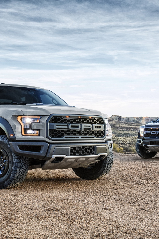 Two stylish pickups Ford F-150 Raptor, 2017 under the beautiful sky