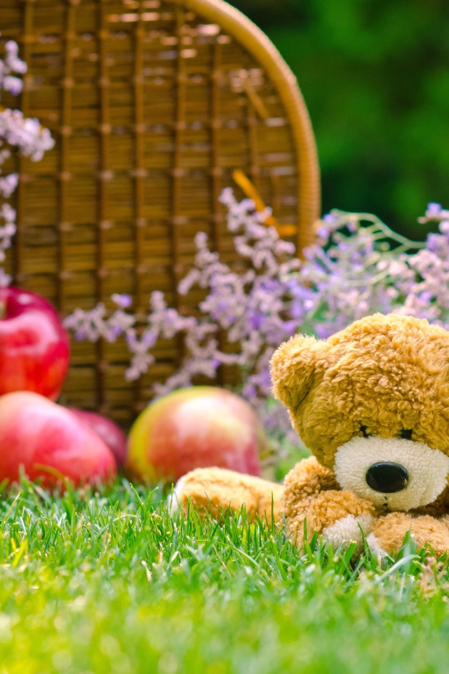 Мягкая игрушка медвежонок Тедди сидит на зеленой траве с корзиной яблок