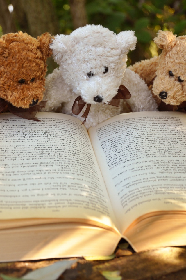 Три медвежонка Тедди читают книгу
