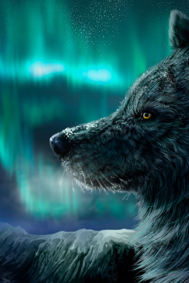 Красивый черный волк на фоне полярного сияния, фэнтези