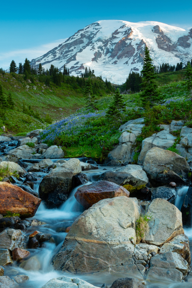 Живописный ручей течет по камням на фоне горы