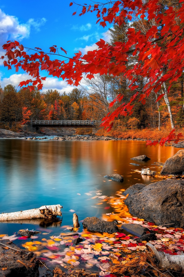 Осенний лес отражается в спокойной воде озера