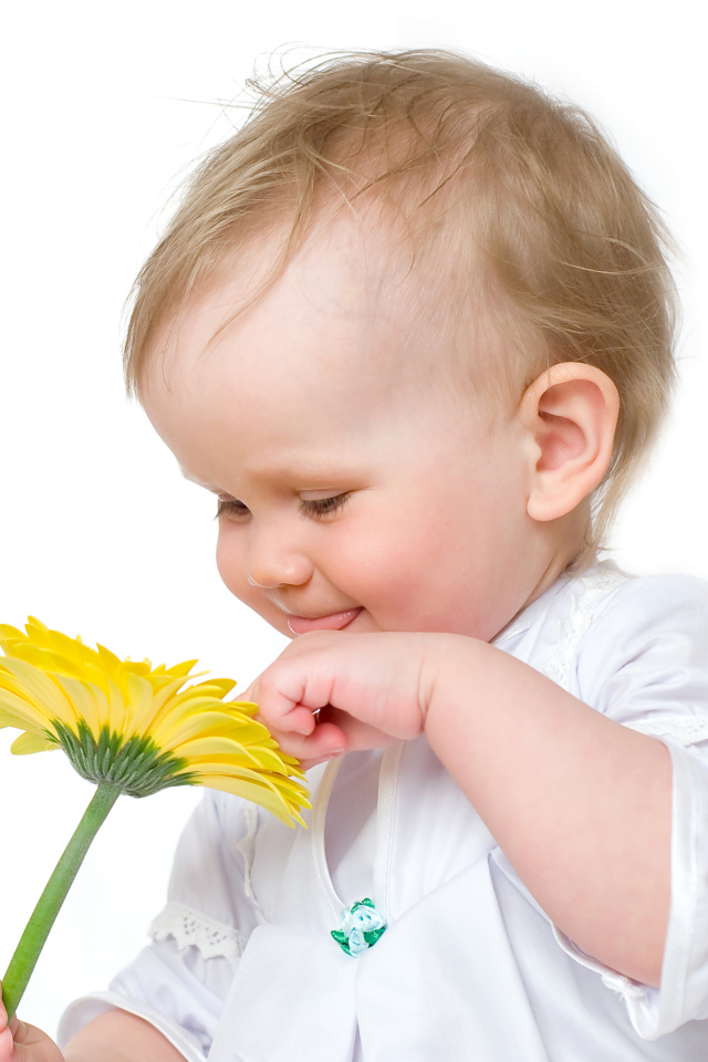Милый грудной ребенок с желтым цветком герберы на белом фоне