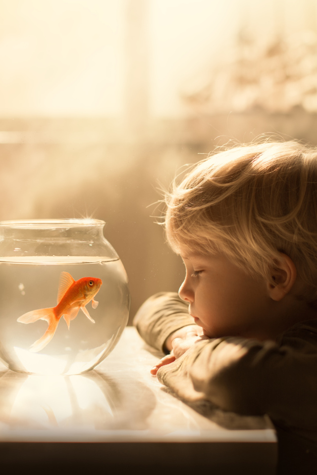 Маленький мальчик смотрит на аквариум с золотой рыбкой