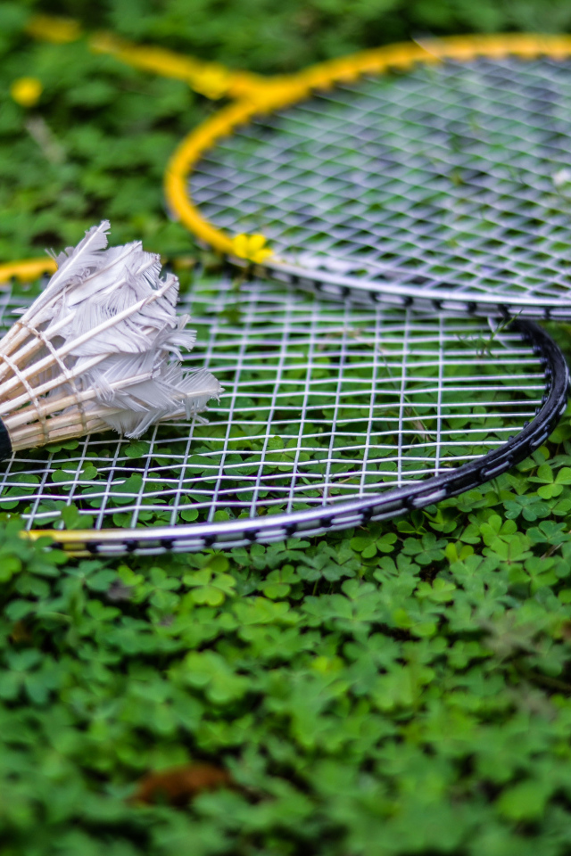 Теннисные ракетки и воланчик лежат на зеленой траве