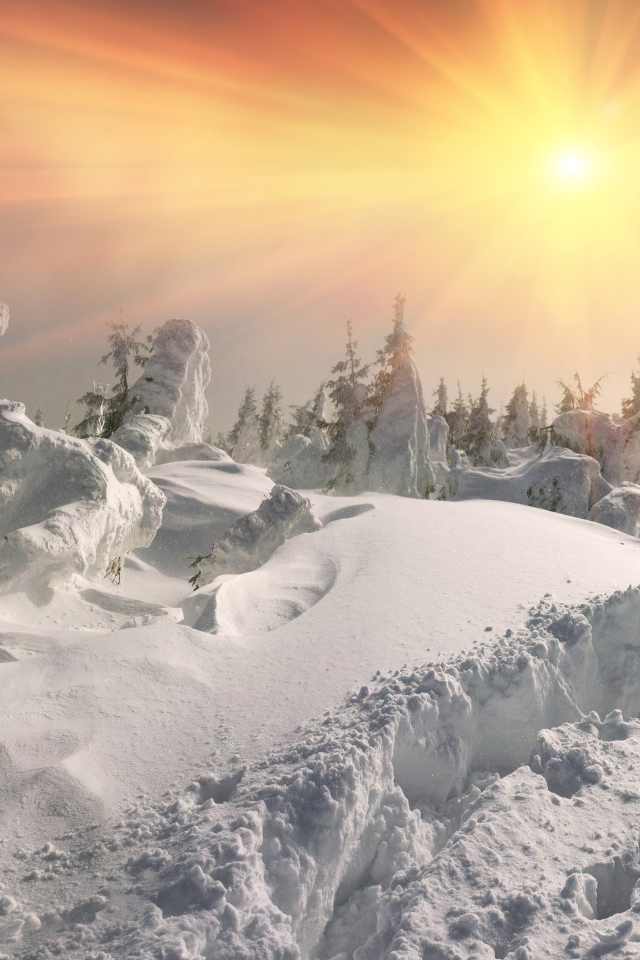 Глубокий белый снег в лесу под ярким зимним солнцем