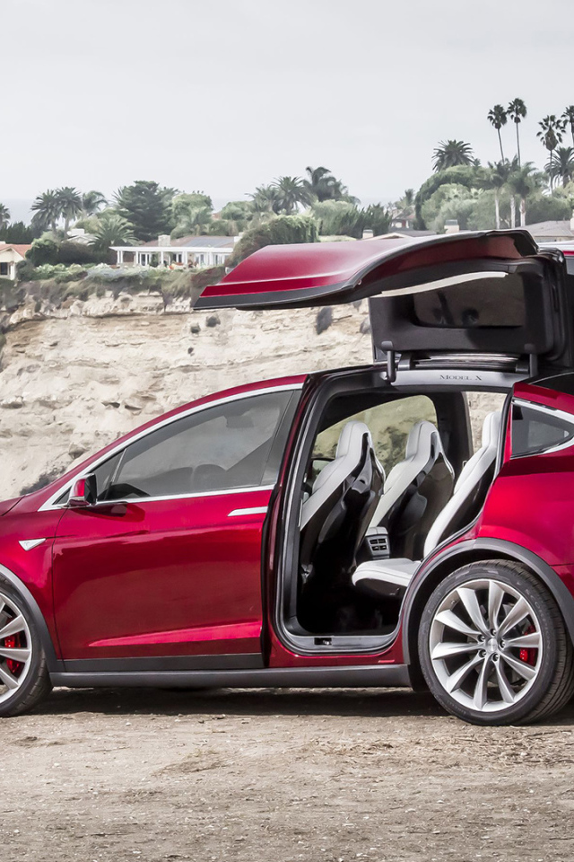 Red electric Tesla on the shore