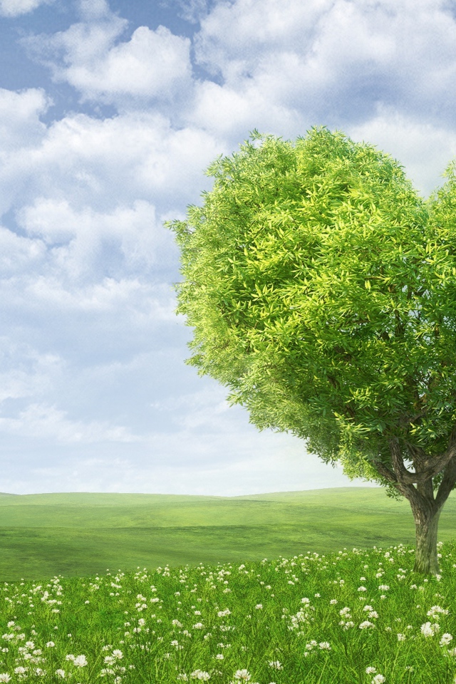 Зеленое дерево в форме сердца на фоне красивого неба