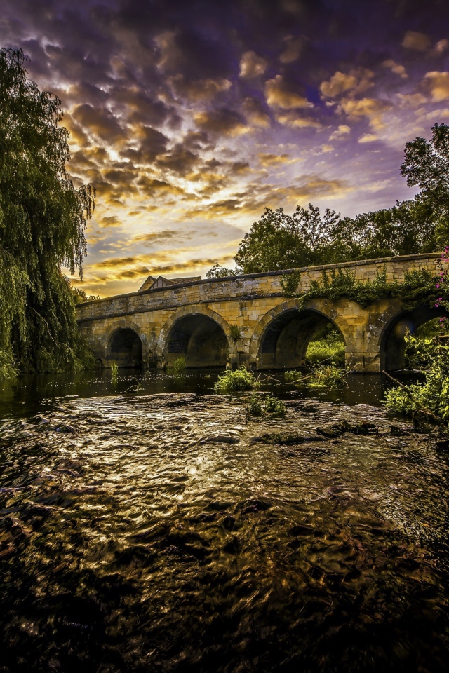 Зеленые ивы на берегу реки у старого моста под красивым небом